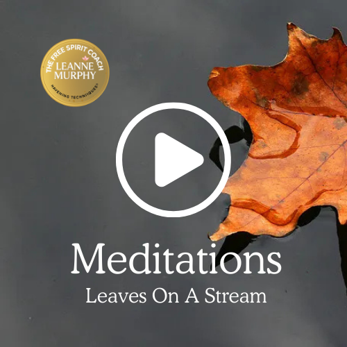 Leaves On A Stream
